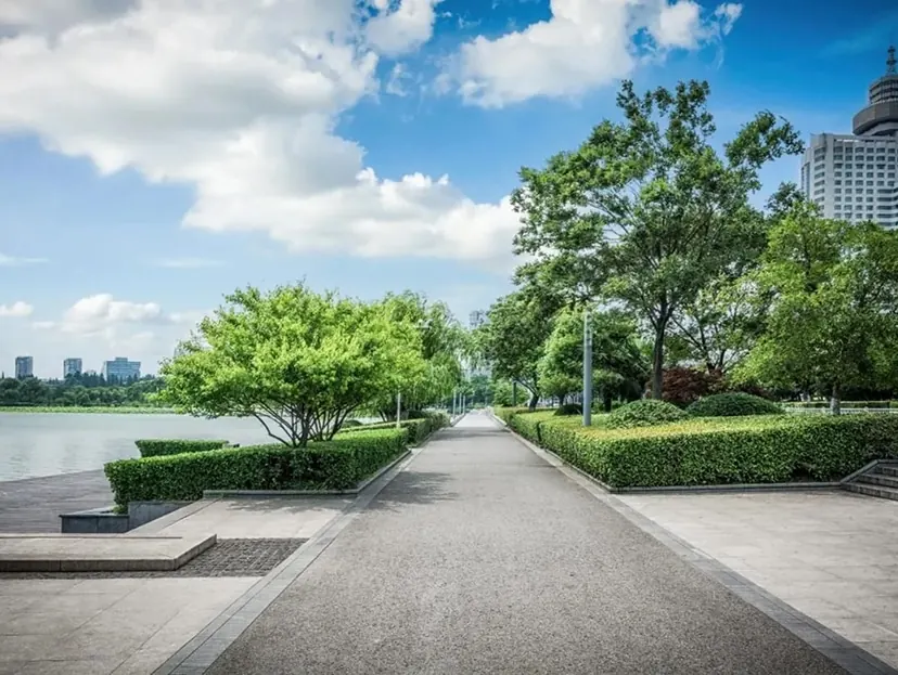 Concrete walkway lined with hedges and trees